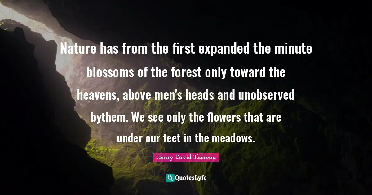 Nature has from the first expanded the minute blossoms of the forest only toward the heavens, above men's heads and unobserved bythem. We see only the flowers that are under our feet in the meadows.