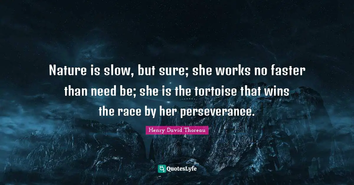 Nature is slow, but sure; she works no faster than need be; she is the tortoise that wins the race by her perseverance.