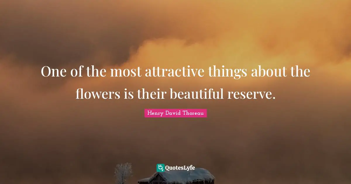 One of the most attractive things about the flowers is their beautiful reserve.
