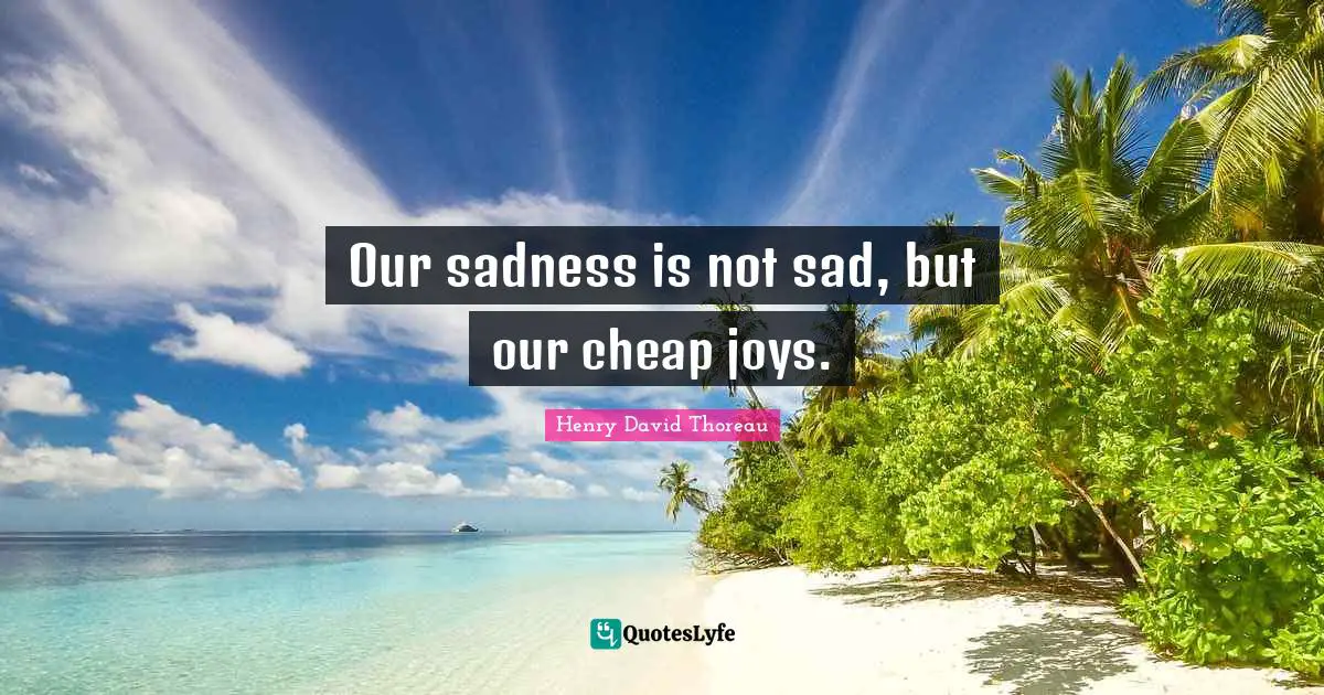 Our sadness is not sad, but our cheap joys.