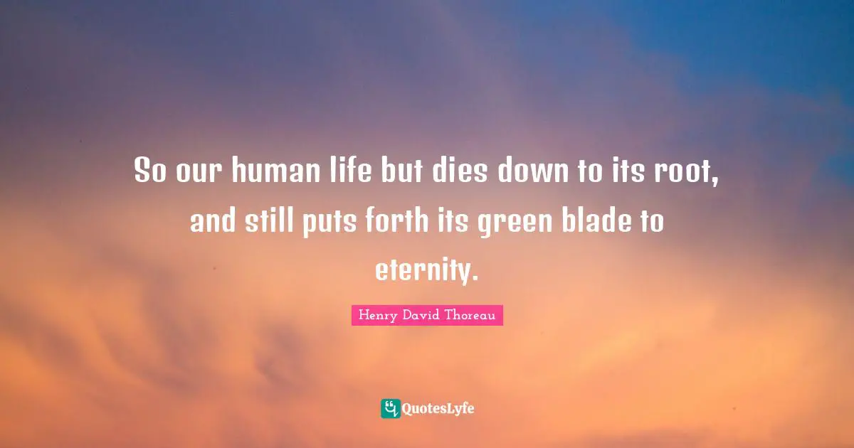So our human life but dies down to its root, and still puts forth its green blade to eternity.