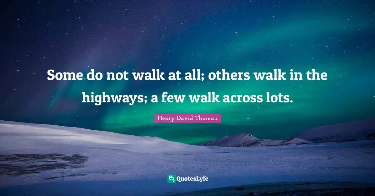 Some do not walk at all; others walk in the highways; a few walk across lots.