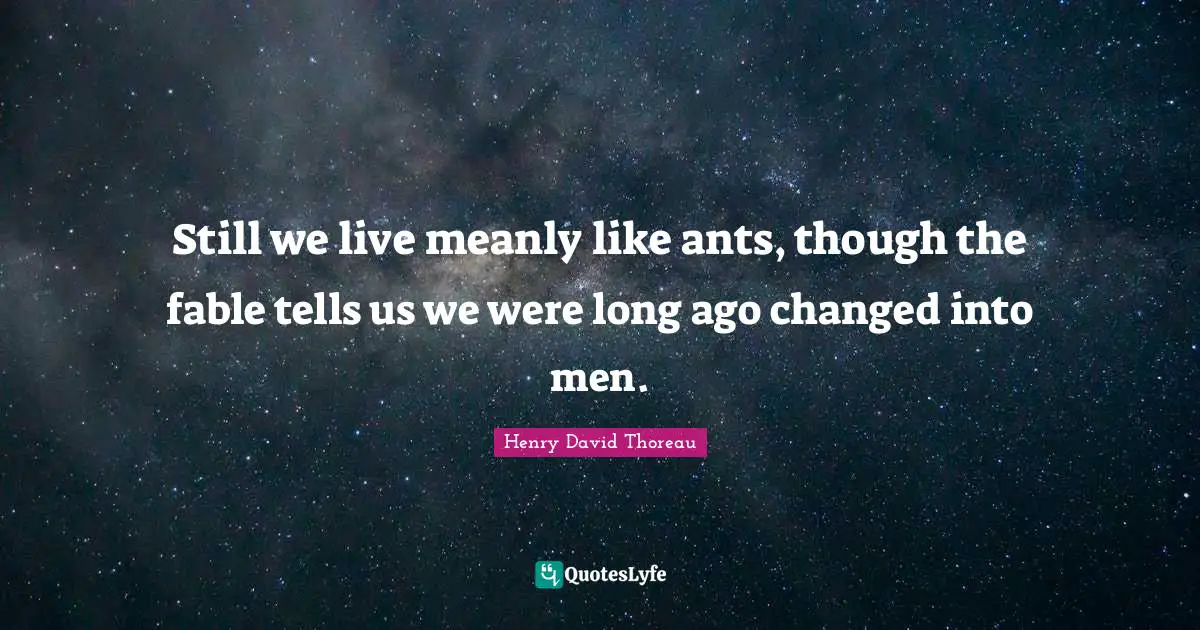 Still we live meanly like ants, though the fable tells us we were long ago changed into men.