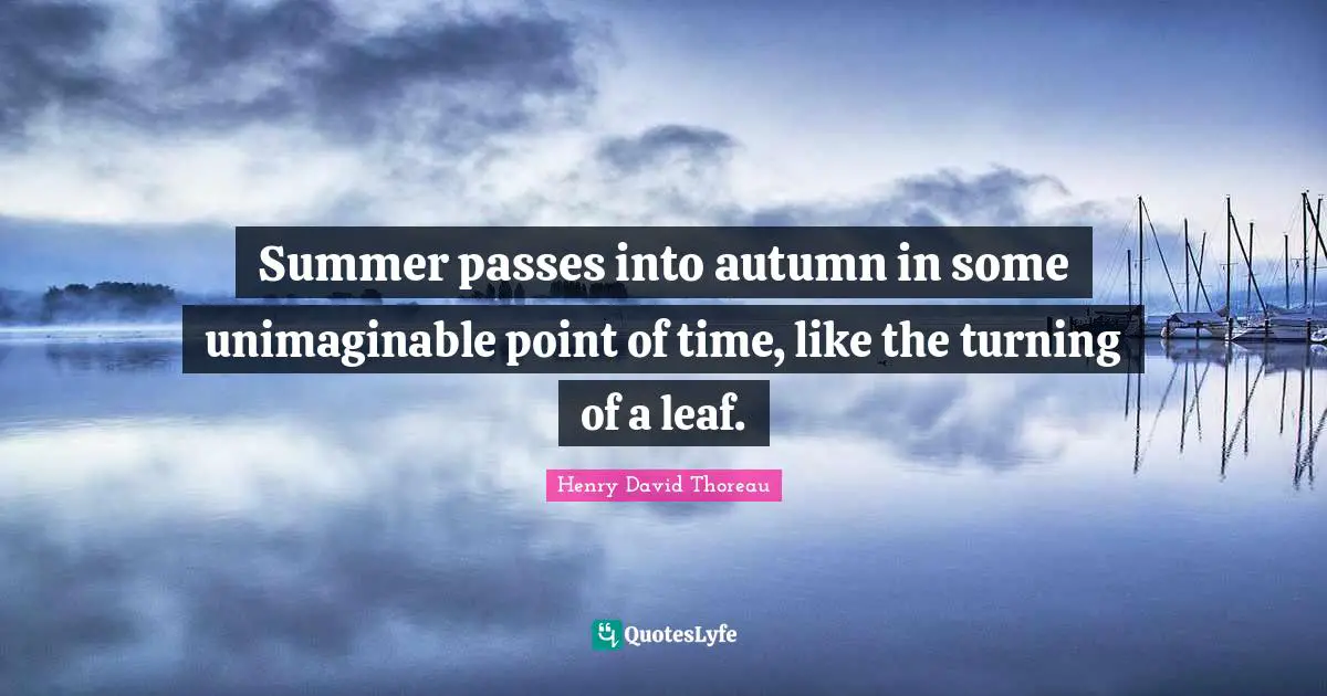 Summer passes into autumn in some unimaginable point of time, like the turning of a leaf.