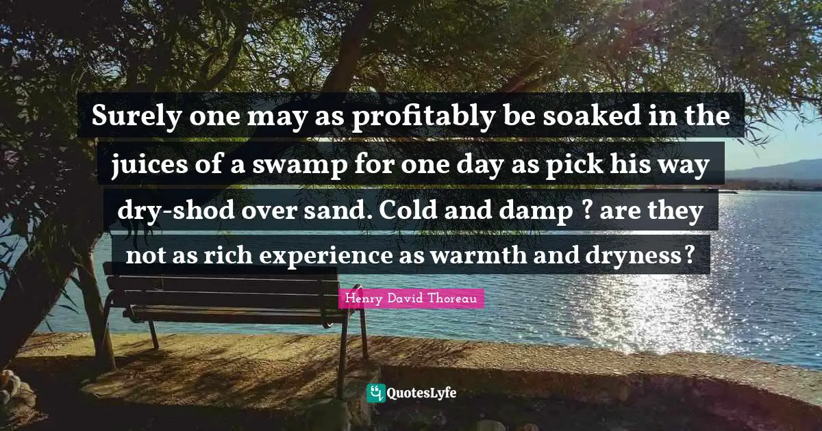 Surely one may as profitably be soaked in the juices of a swamp for one day as pick his way dry-shod over sand. Cold and damp ? are they not as rich experience as warmth and dryness?