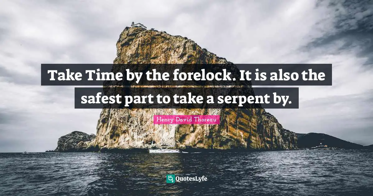 Take Time by the forelock. It is also the safest part to take a serpent by.