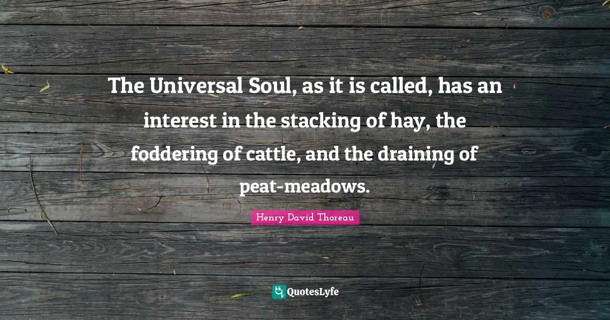 The Universal Soul, as it is called, has an interest in the stacking of hay, the foddering of cattle, and the draining of peat-meadows.