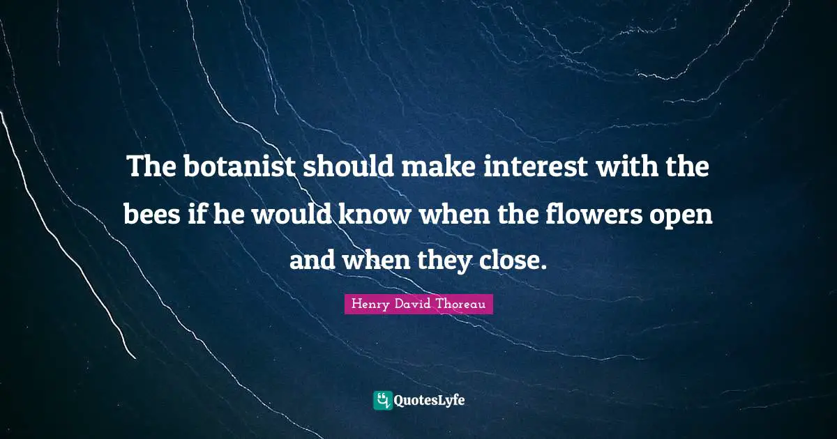 The botanist should make interest with the bees if he would know when the flowers open and when they close.
