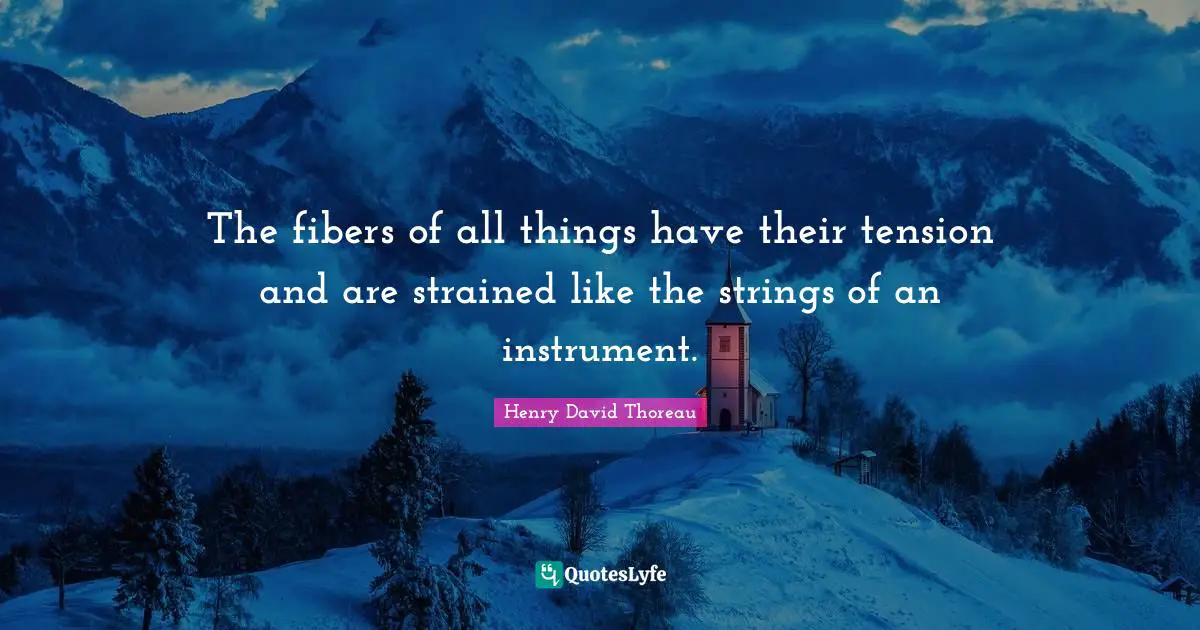 Strings Quotes: "The fibers of all things have their tension and are strained like the strings of an instrument."