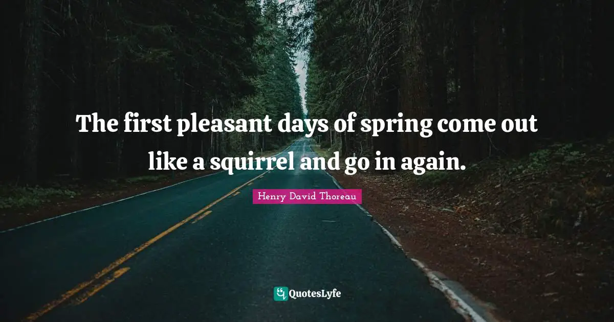 The first pleasant days of spring come out like a squirrel and go in again.