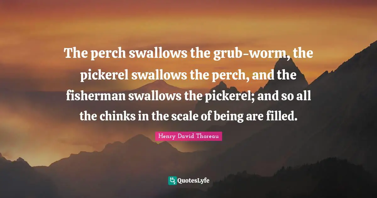 The perch swallows the grub-worm, the pickerel swallows the perch, and the fisherman swallows the pickerel; and so all the chinks in the scale of being are filled.