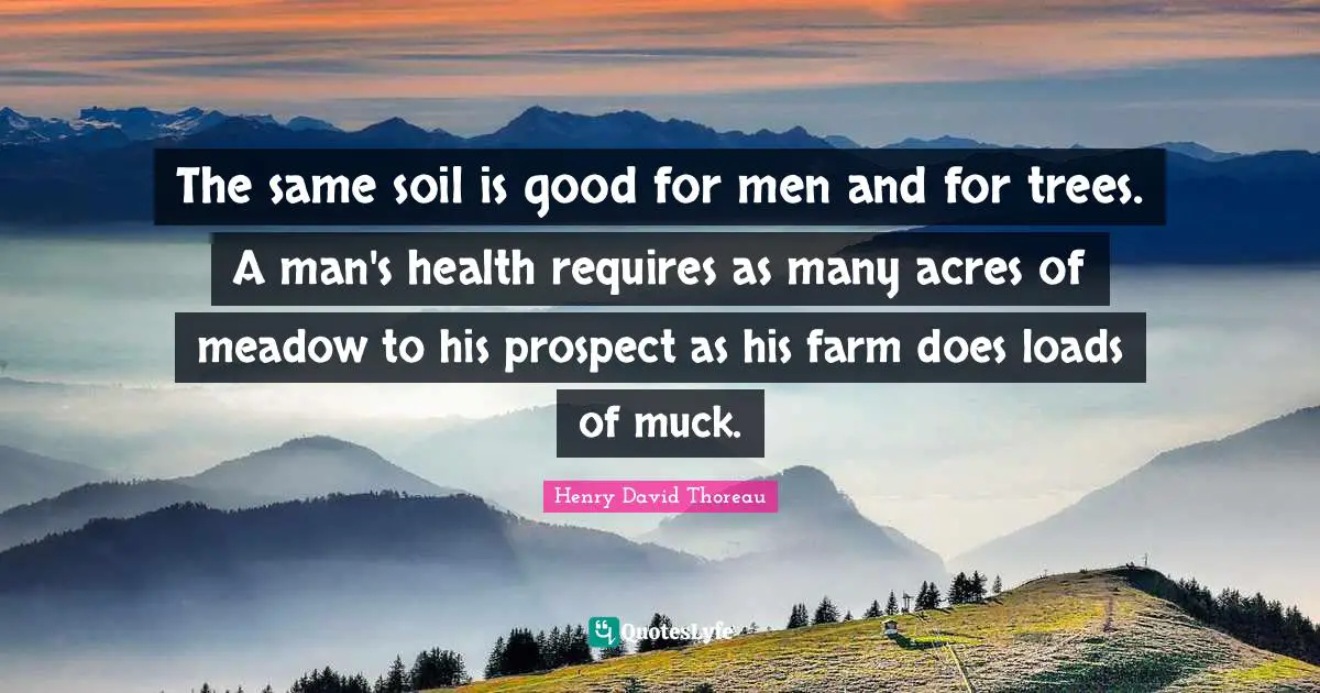 The same soil is good for men and for trees. A man's health requires as many acres of meadow to his prospect as his farm does loads of muck.