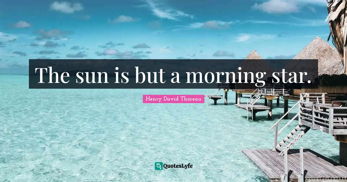 Good Morning Quotes: "The sun is but a morning star."