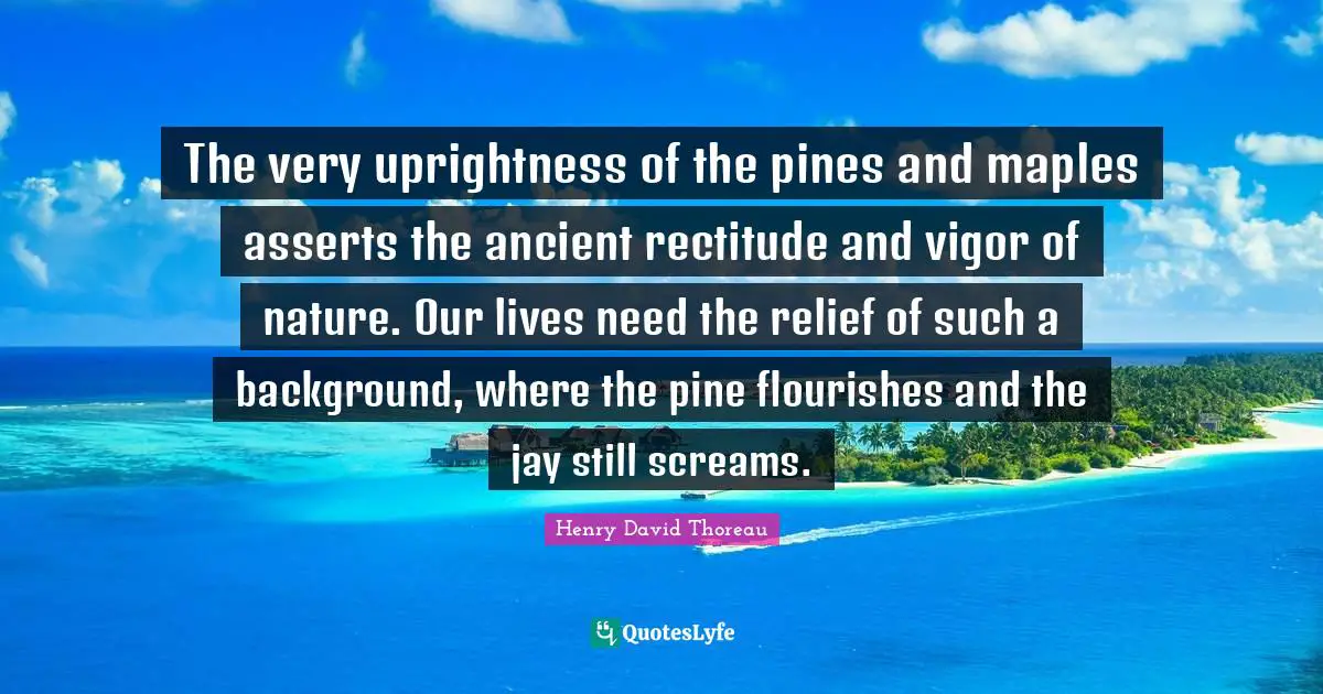 The very uprightness of the pines and maples asserts the ancient rectitude and vigor of nature. Our lives need the relief of such a background, where the pine flourishes and the jay still screams.