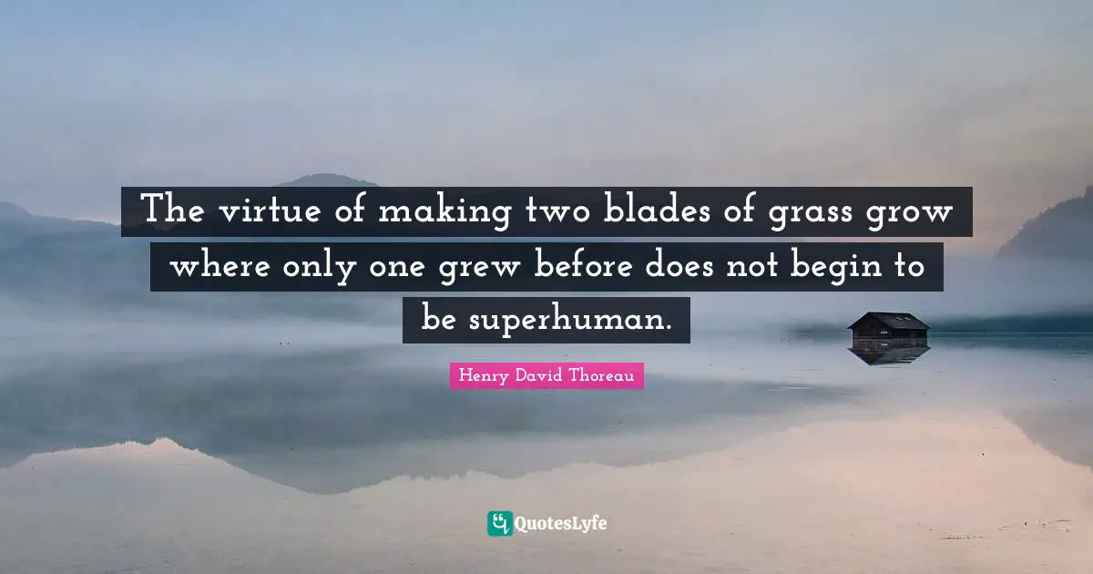 The virtue of making two blades of grass grow where only one grew before does not begin to be superhuman.