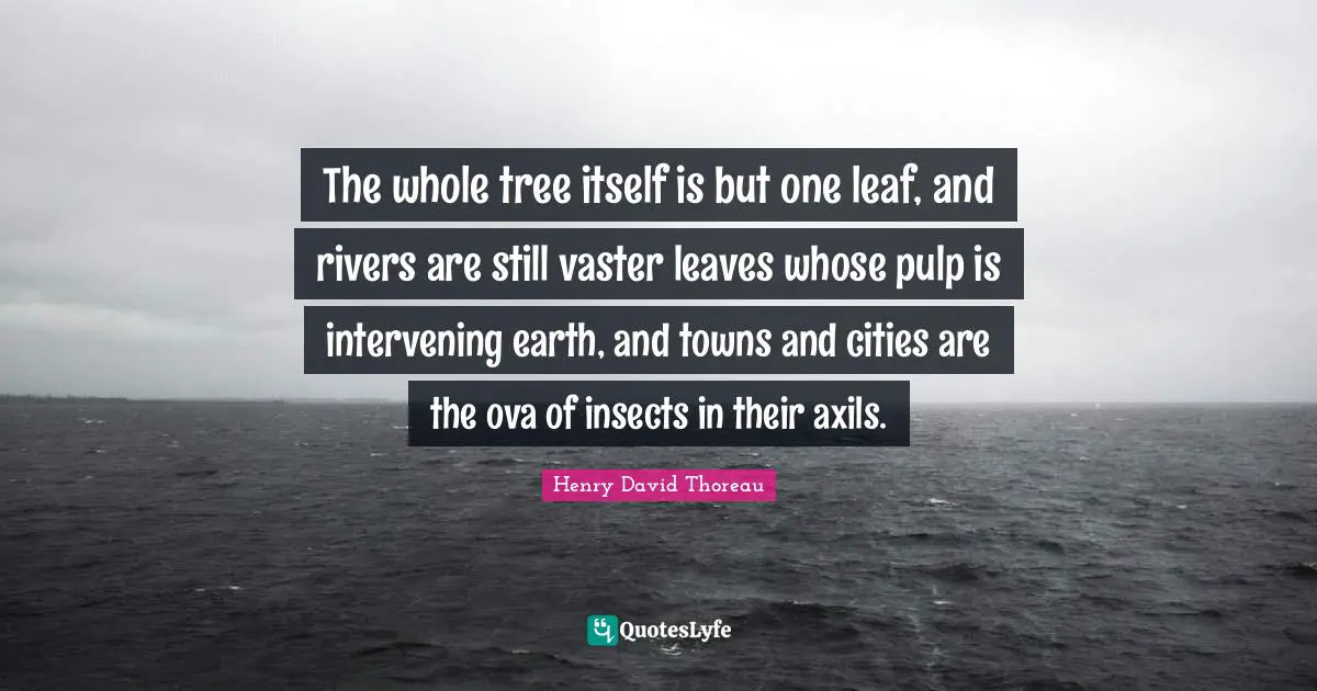 The whole tree itself is but one leaf, and rivers are still vaster leaves whose pulp is intervening earth, and towns and cities are the ova of insects in their axils.