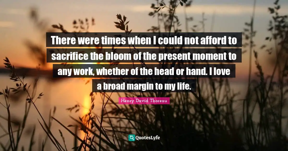 There were times when I could not afford to sacrifice the bloom of the present moment to any work, whether of the head or hand. I love a broad margin to my life.