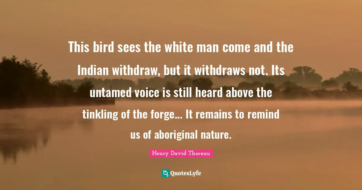This bird sees the white man come and the Indian withdraw, but it withdraws not. Its untamed voice is still heard above the tinkling of the forge... It remains to remind us of aboriginal nature.
