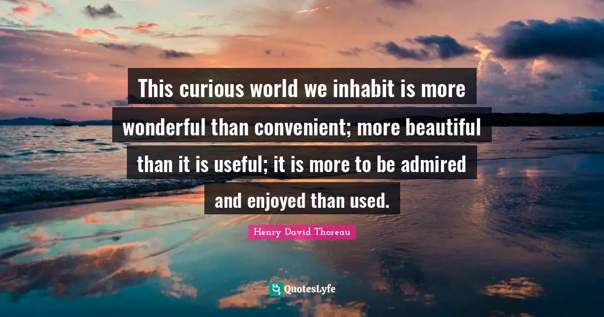 This curious world we inhabit is more wonderful than convenient; more beautiful than it is useful; it is more to be admired and enjoyed than used.