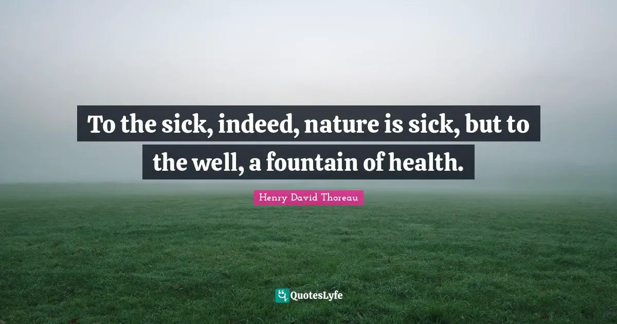 To the sick, indeed, nature is sick, but to the well, a fountain of health.
