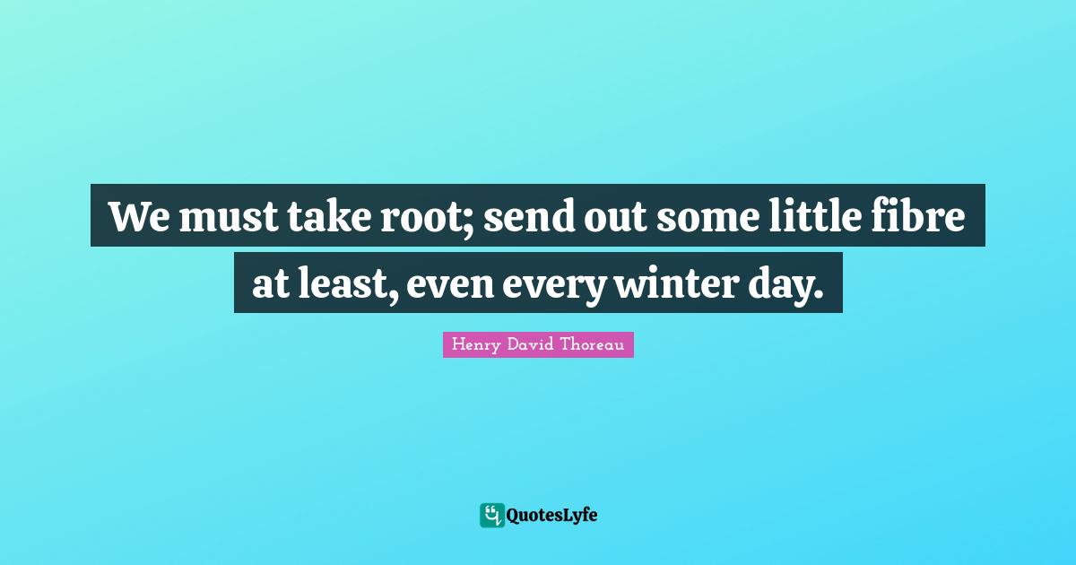 We must take root; send out some little fibre at least, even every winter day.