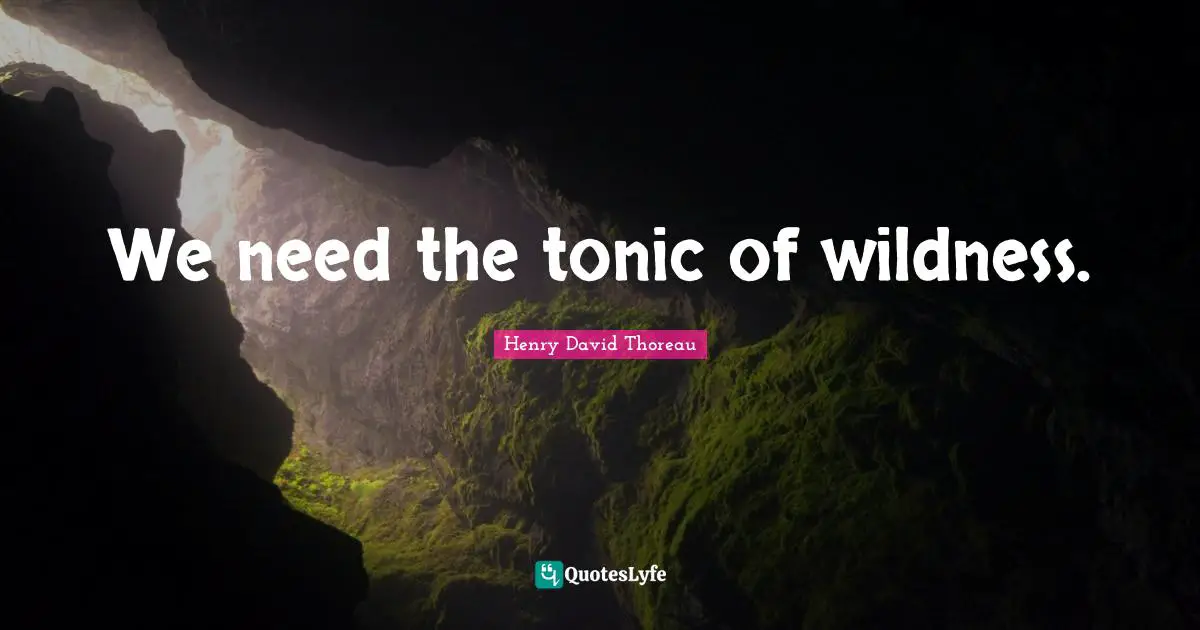 We need the tonic of wildness.