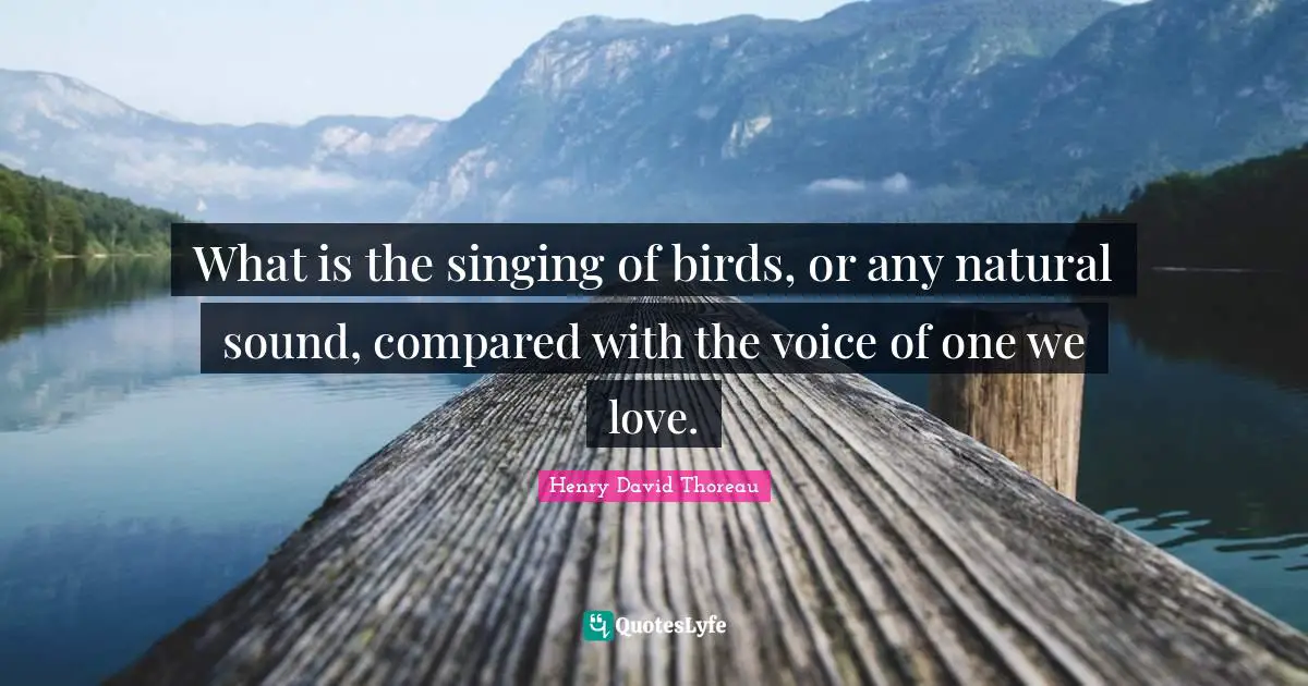 What is the singing of birds, or any natural sound, compared with the voice of one we love.