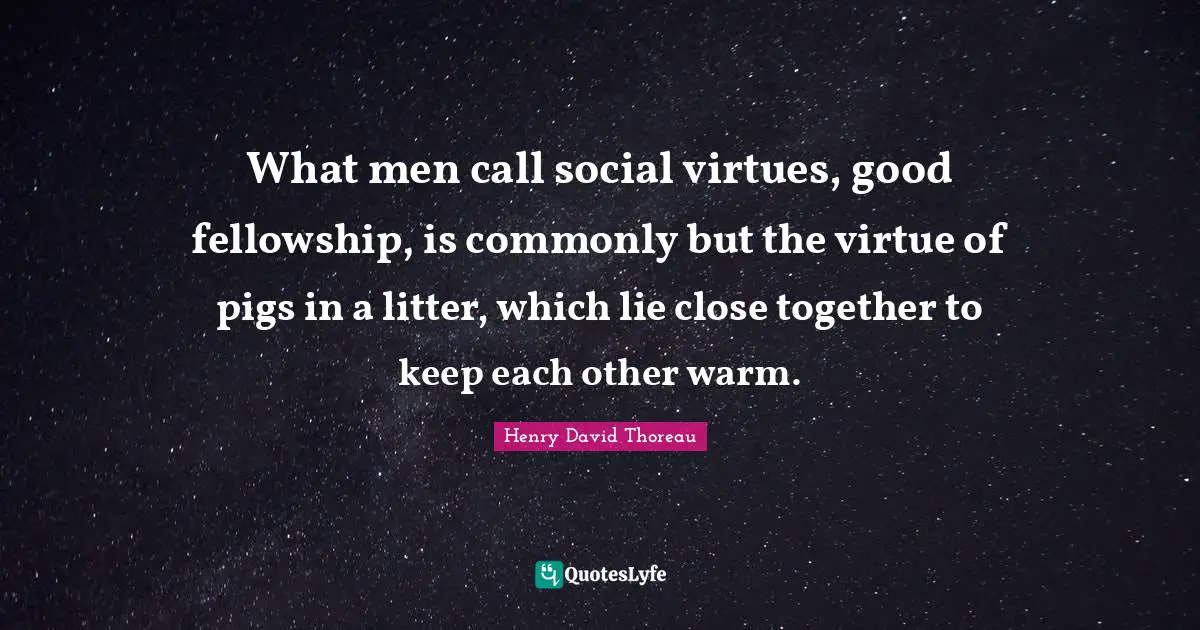 What men call social virtues, good fellowship, is commonly but the virtue of pigs in a litter, which lie close together to keep each other warm.