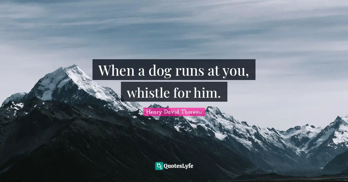 When a dog runs at you, whistle for him.