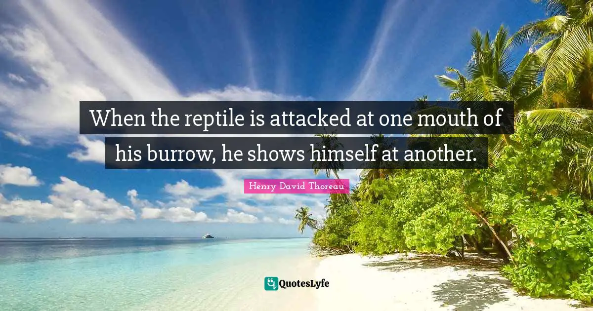 Reptiles Quotes: "When the reptile is attacked at one mouth of his burrow, he shows himself at another."