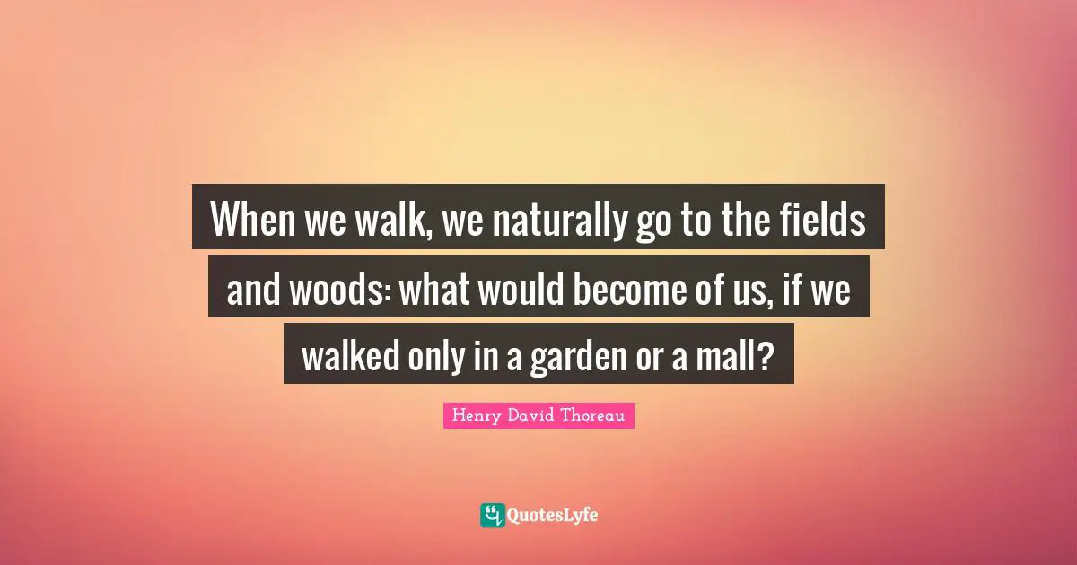 When we walk, we naturally go to the fields and woods: what would become of us, if we walked only in a garden or a mall?