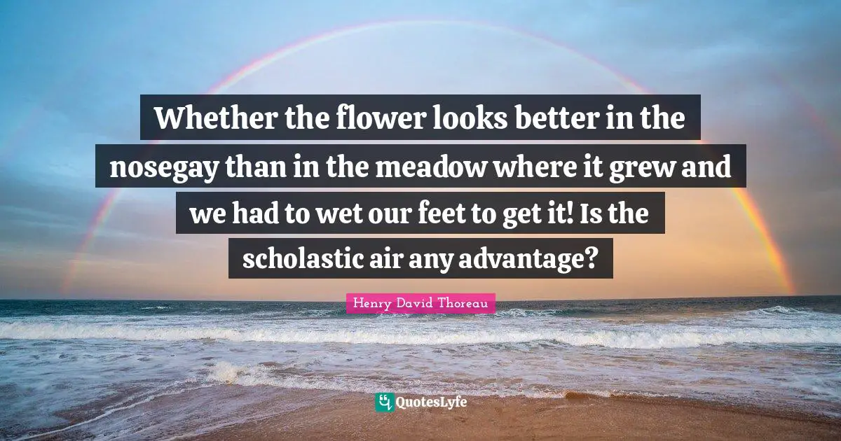 Whether the flower looks better in the nosegay than in the meadow where it grew and we had to wet our feet to get it! Is the scholastic air any advantage?