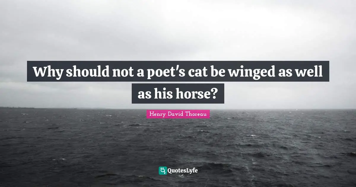 Why should not a poet's cat be winged as well as his horse?
