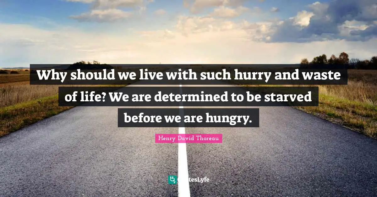 Why should we live with such hurry and waste of life? We are determined to be starved before we are hungry.