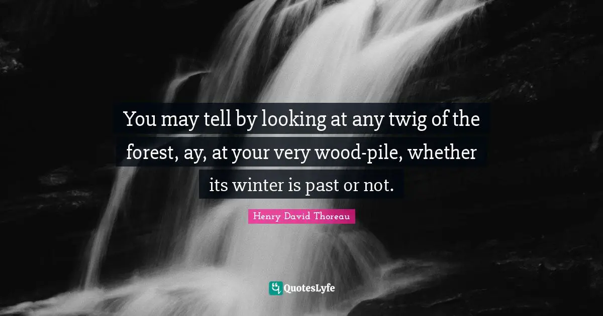 You may tell by looking at any twig of the forest, ay, at your very wood-pile, whether its winter is past or not.