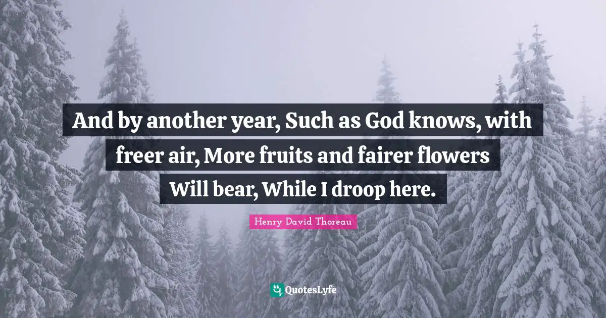 Another Year Quotes: "And by another year, Such as God knows, with freer air, More fruits and fairer flowers Will bear, While I droop here."