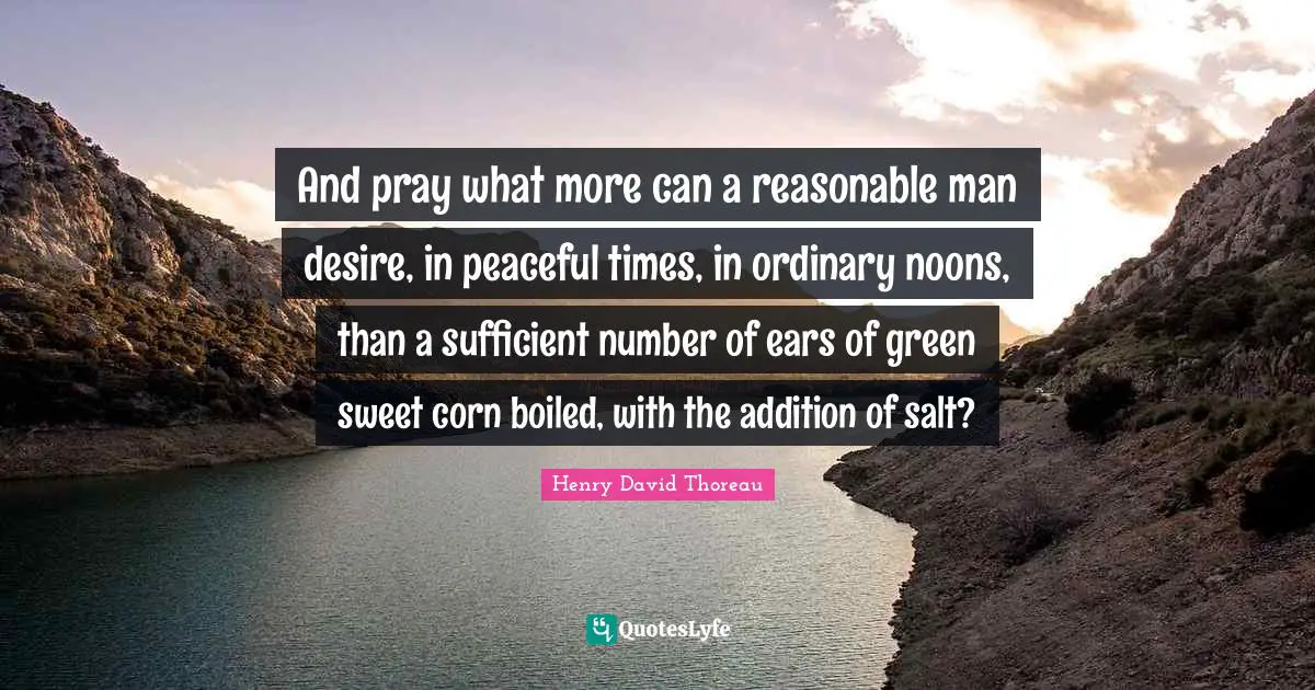 And pray what more can a reasonable man desire, in peaceful times, in ordinary noons, than a sufficient number of ears of green sweet corn boiled, with the addition of salt?