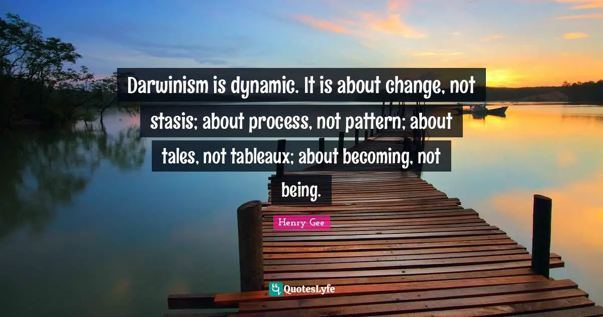 Darwinism is dynamic. It is about change, not stasis; about process, not pattern; about tales, not tableaux; about becoming, not being.