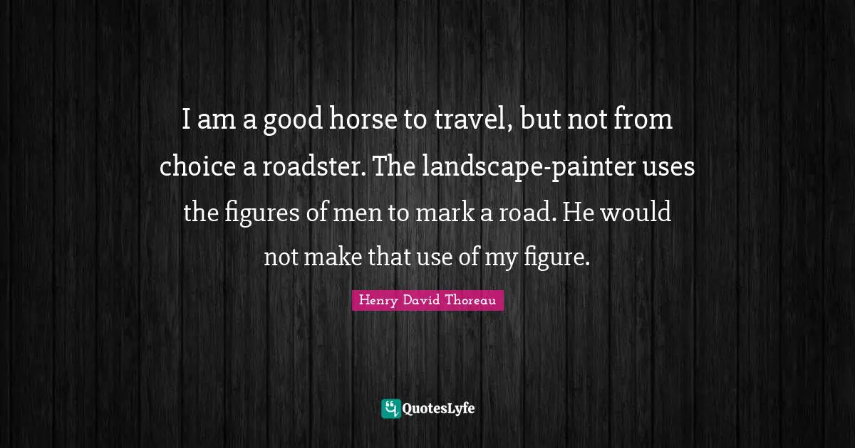 I am a good horse to travel, but not from choice a roadster. The landscape-painter uses the figures of men to mark a road. He would not make that use of my figure.