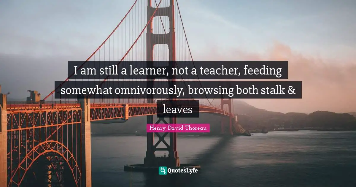 Stalking Quotes: "I am still a learner, not a teacher, feeding somewhat omnivorously, browsing both stalk & leaves"
