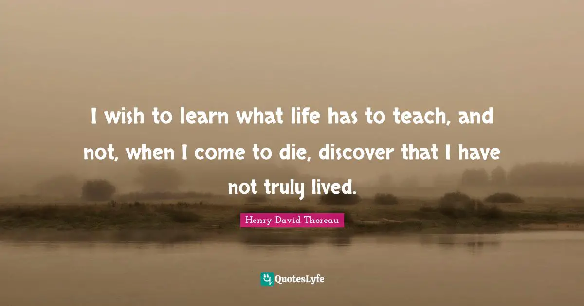 I wish to learn what life has to teach, and not, when I come to die, discover that I have not truly lived.