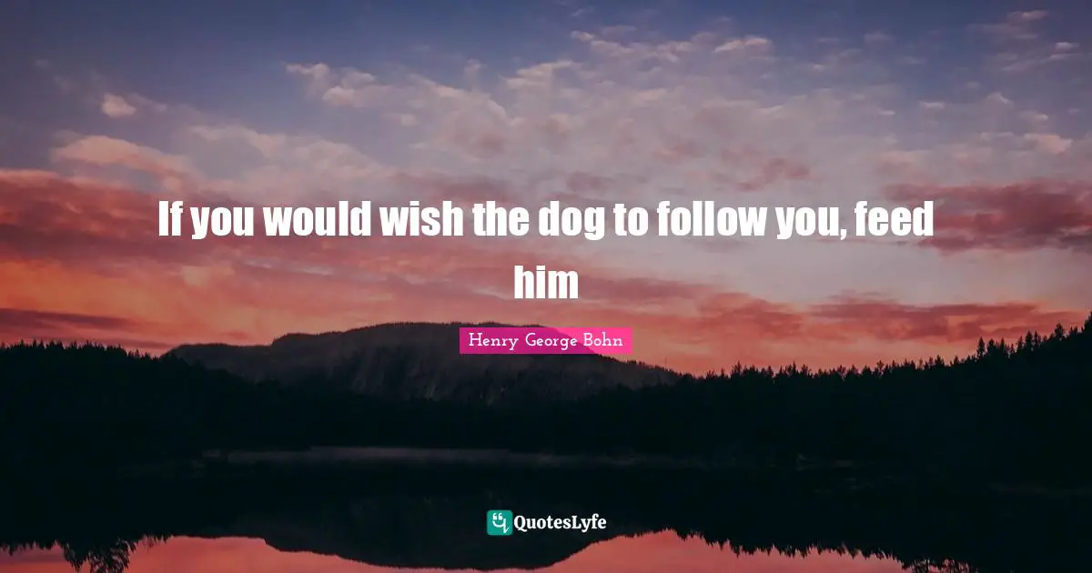 If you would wish the dog to follow you, feed him