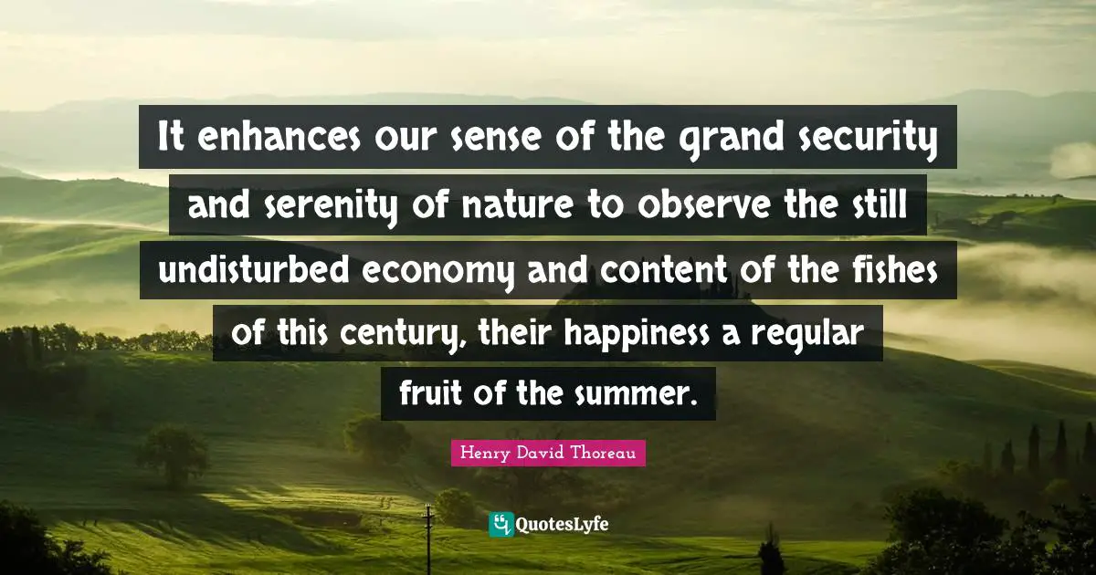It enhances our sense of the grand security and serenity of nature to observe the still undisturbed economy and content of the fishes of this century, their happiness a regular fruit of the summer.