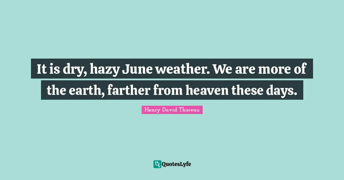 It is dry, hazy June weather. We are more of the earth, farther from heaven these days.