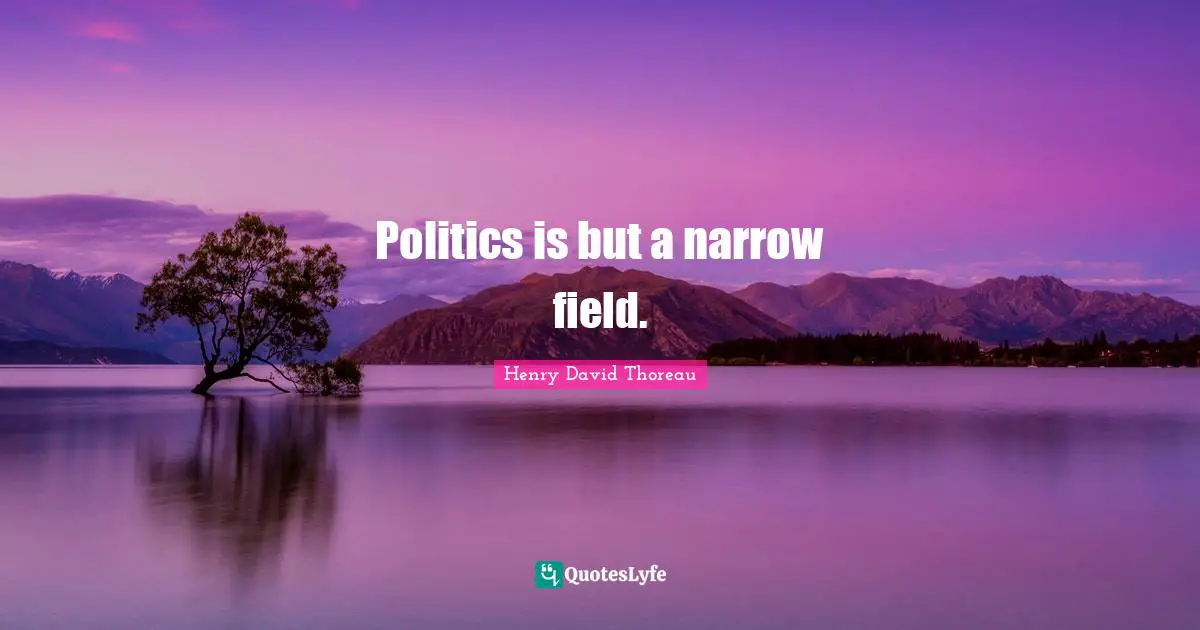 Politics is but a narrow field.
