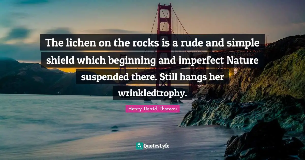 The lichen on the rocks is a rude and simple shield which beginning and imperfect Nature suspended there. Still hangs her wrinkledtrophy.