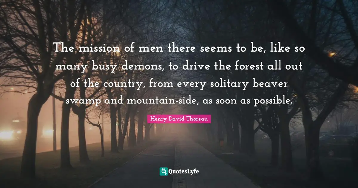 The mission of men there seems to be, like so many busy demons, to drive the forest all out of the country, from every solitary beaver swamp and mountain-side, as soon as possible.