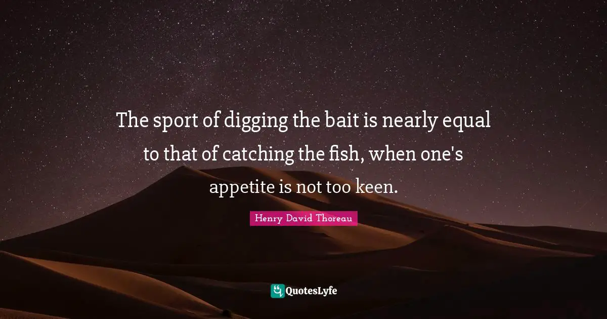 The sport of digging the bait is nearly equal to that of catching the fish, when one's appetite is not too keen.