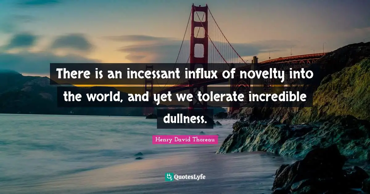 Dullness Quotes: "There is an incessant influx of novelty into the world, and yet we tolerate incredible dullness."