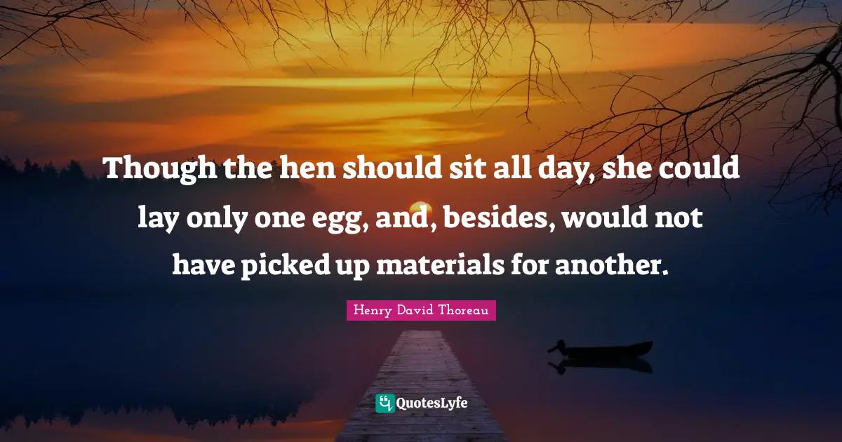 Though the hen should sit all day, she could lay only one egg, and, besides, would not have picked up materials for another.